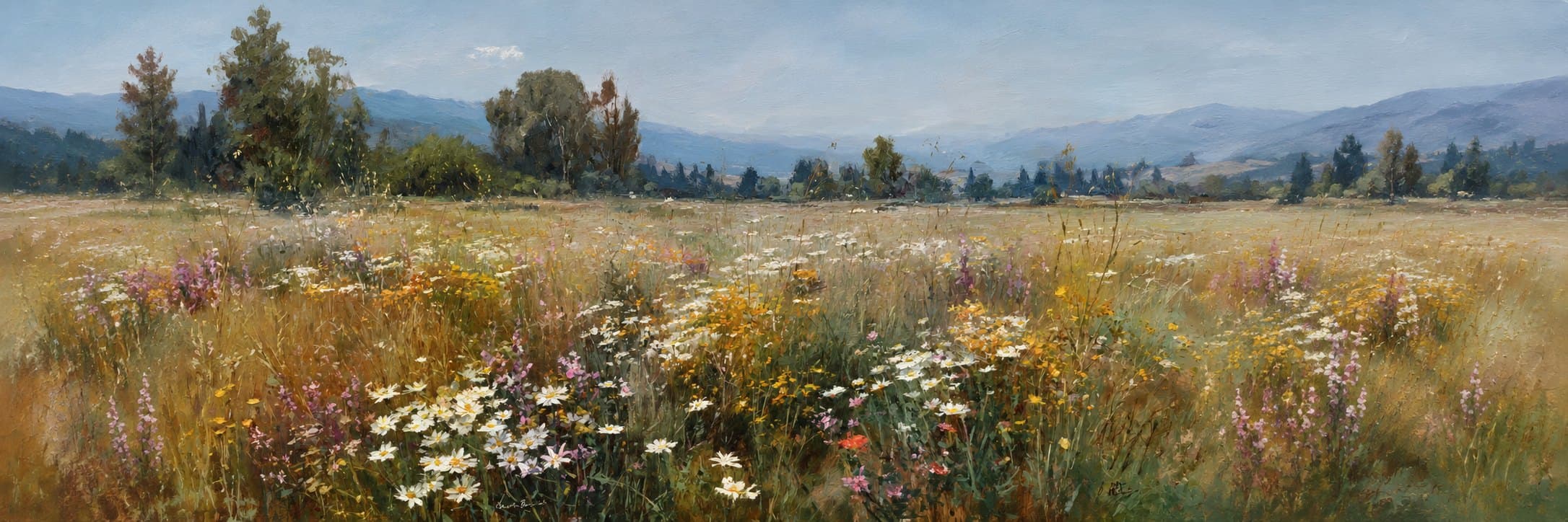 Wildflower meadow
